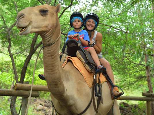 Smiling on a camel ride