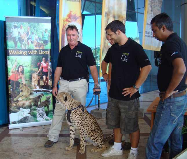 Cheetah function at office