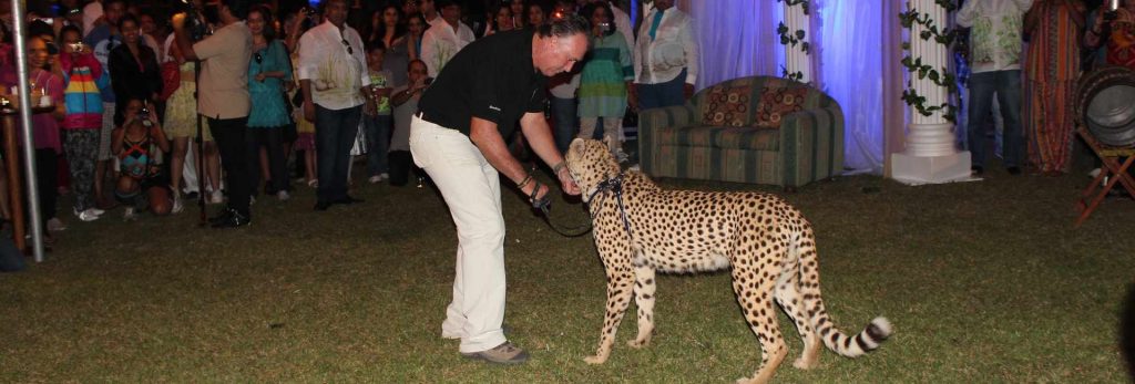 Cheetah function