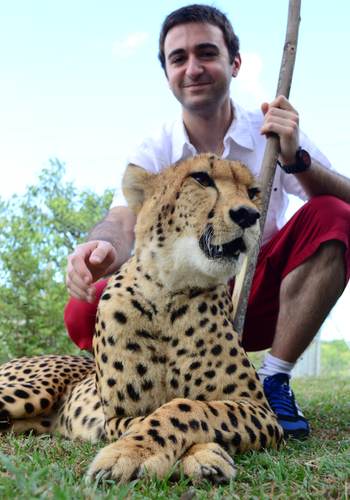 Cheetah Encounter