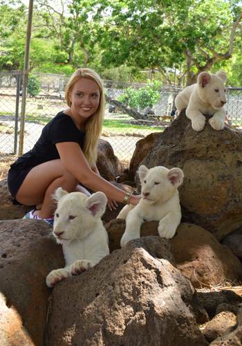 Lion cub interaction