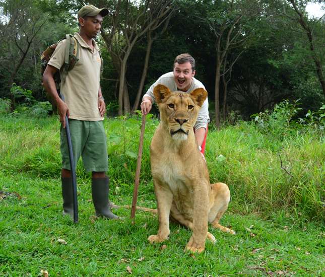 lion-interaction-wow Excited guest interaction with lion