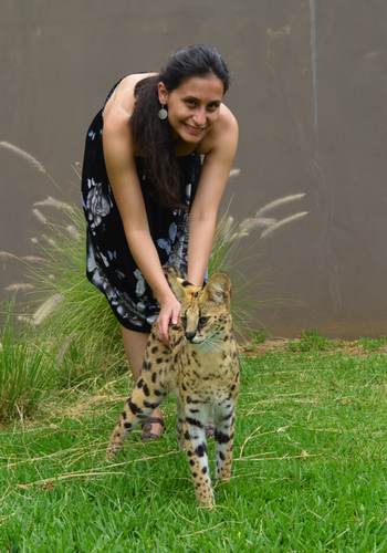 Serval Encounter