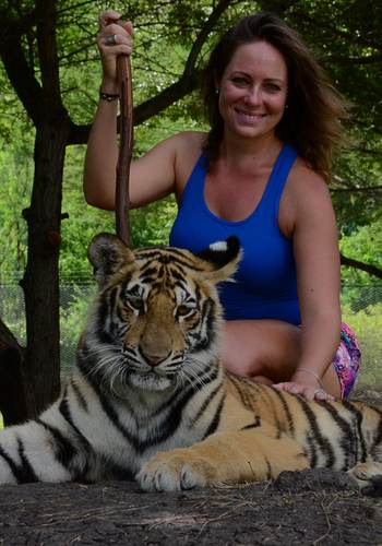 Tiger interaction