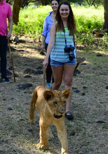 walk-with-young-lion Walking with young lion