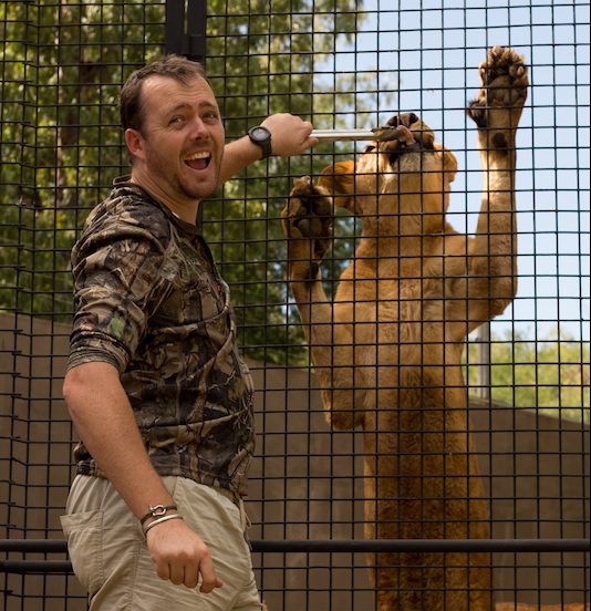 Big Cat Feeding