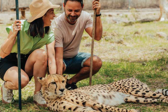 Animal Encounters